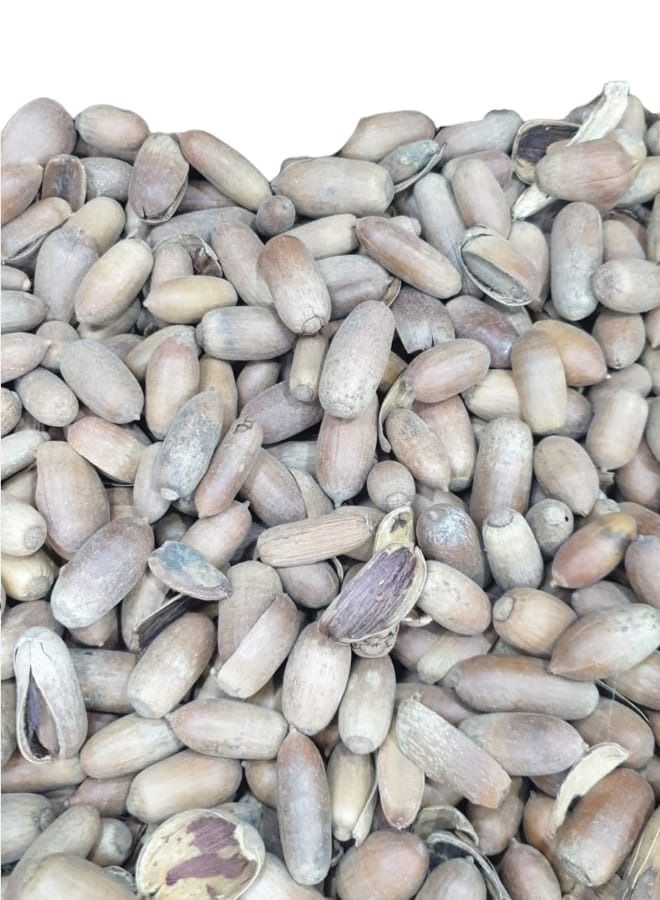 Oak Seeds 250 grams
