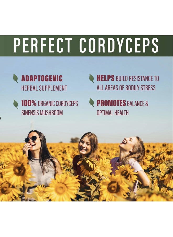 Perfect Supplements – Perfect Cordyceps – 90 Vegetable Capsules – Organic Adaptogenic Herbal Supplement – Increases Energy, Endurance & Strength - Image 4