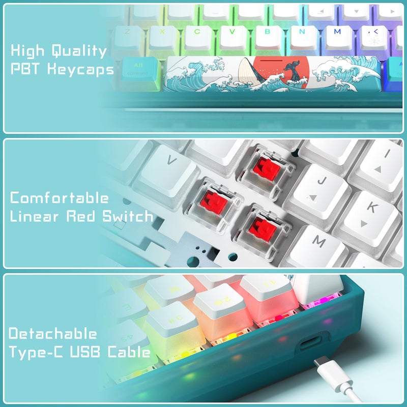 Womier لوحة مفاتيح وومير 60%، لوحة مفاتيح ميكانيكية RGB سلكية WK61 للألعاب، لوحة مفاتيح قابلة للتبديل مع مفاتيح PBT زرقاء للاعبين على أجهزة الكمبيوتر بنظام ويندوز - مفتاح أحمر خطي - Image 3