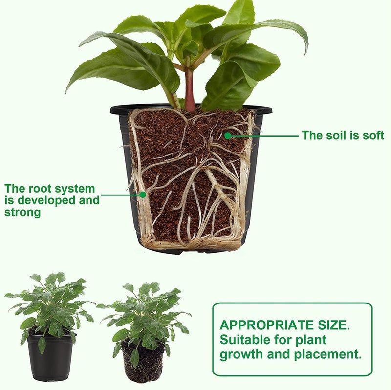 MyOwnGarden Seedling Pots 2 inch Black Plastic Nursery Pot, Small Planter Starting Pots with Drainage Holes, Strong Nursery Pots for Starting Transplanting Plants (10) - Image 3