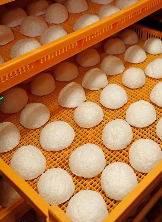 إيبينكا إسفنجة كونجاك طبيعية - عبوة من قطعتين - شاي أخضر - غسول ومنظف لطيف للوجه - للعناية بالبشرة - صنع في اليابان - Image 3