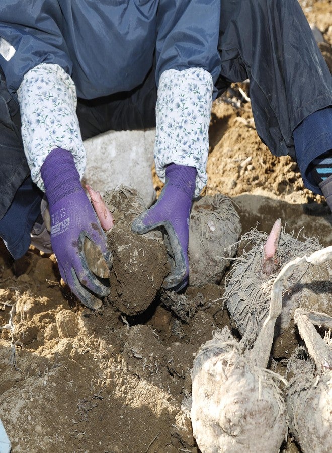 إيبينكا إسفنجة كونجاك طبيعية - عبوة من قطعتين - شاي أخضر - غسول ومنظف لطيف للوجه - للعناية بالبشرة - صنع في اليابان - Image 4