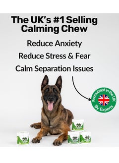 Calming Treats For Dogs Reduce Stress Fear Separation Anxiety Barking Hyperactivity Reactivity Aggression Travel Issues Relaxation without Drowsiness dogs - pzsku/Z0F7E8BAF6A6572DE8931Z/45/_/1738751365/95a96b09-a5f2-410c-a9f5-12a8bab346a7