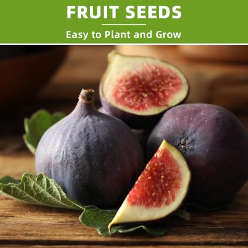 Ficoszo 300+ Mix Heirloom Fruit Seeds Kiwi Fig Papaya Orange Seeds 4 Varieties Individually Packaged for Home Garden - Image 5