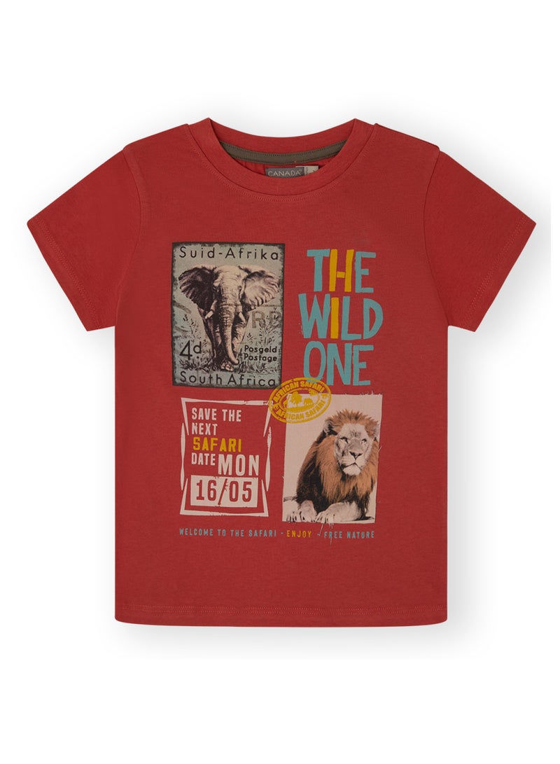 CANADA HOUSE Soft and Comfortable Terracotta 100% Organic Cotton T-shirt for Boys - Image 1