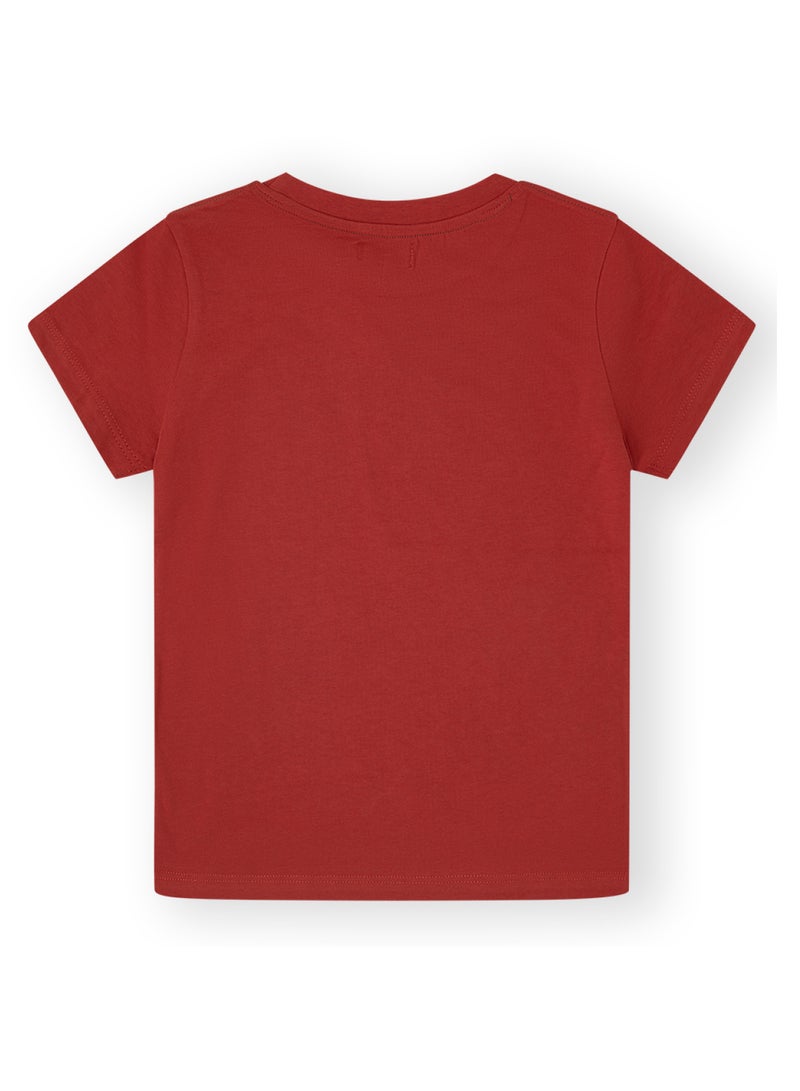 CANADA HOUSE Soft and Comfortable Terracotta 100% Organic Cotton T-shirt for Boys - Image 2