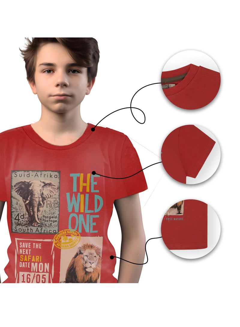 CANADA HOUSE Soft and Comfortable Terracotta 100% Organic Cotton T-shirt for Boys - Image 5