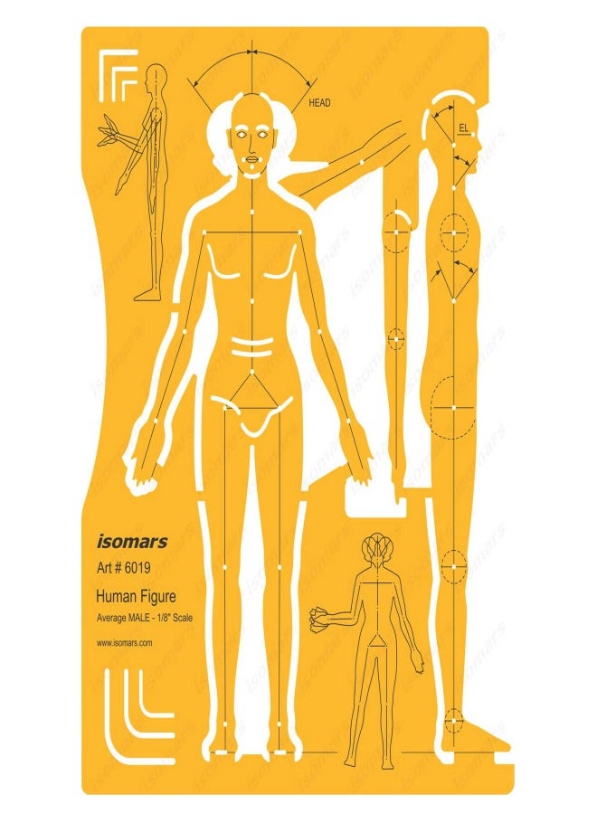 Human Figure Template - Acrylic