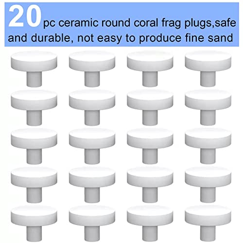 Saricho Ceramic White Coralline Coral frag Plugs Coral frag Base Round 20pc - Image 2