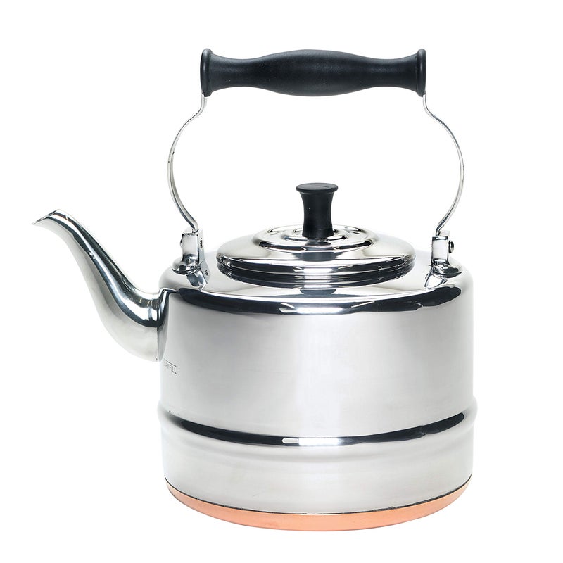 BonJour Tea Stainless Steel and CopperBase Gooseneck Teapot  Teakettle 2Quart