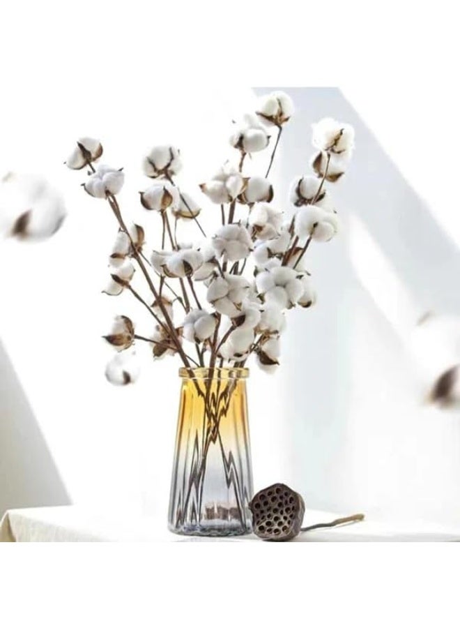 Set Of 5 Dried Cotton Flowers For Weddings  And  Home Decorations 10X10X40Cm White - Image 1