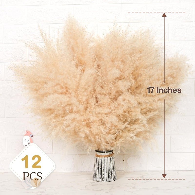Pasuvsigt 12 PCS 17inch Pampas Grass Decor-Natural Pompas Grass Floral-Short Fluffy Pampas Grass Bulk Flower for Small Boho vases,Boho Table Decor,Boho Bathroom Decor,Boho Room Decor - Image 2