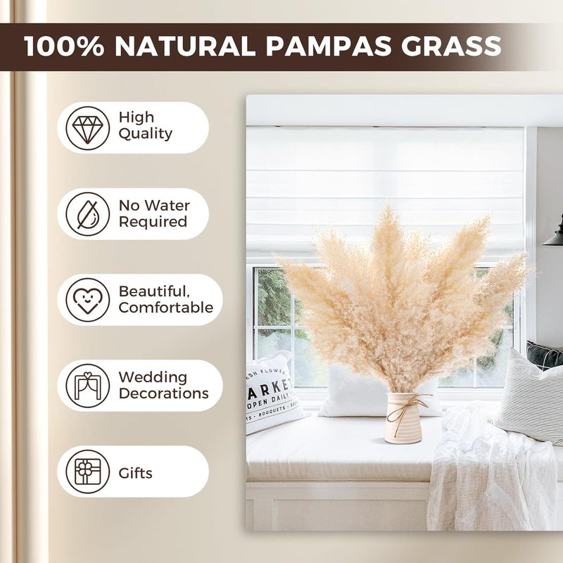 Pasuvsigt 12 PCS 17inch Pampas Grass Decor-Natural Pompas Grass Floral-Short Fluffy Pampas Grass Bulk Flower for Small Boho vases,Boho Table Decor,Boho Bathroom Decor,Boho Room Decor - Image 3