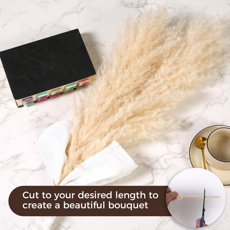 Pasuvsigt 12 PCS 17inch Pampas Grass Decor-Natural Pompas Grass Floral-Short Fluffy Pampas Grass Bulk Flower for Small Boho vases,Boho Table Decor,Boho Bathroom Decor,Boho Room Decor - Image 4