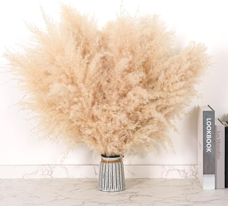 Pasuvsigt 12 PCS 17inch Pampas Grass Decor-Natural Pompas Grass Floral-Short Fluffy Pampas Grass Bulk Flower for Small Boho vases,Boho Table Decor,Boho Bathroom Decor,Boho Room Decor - Image 1
