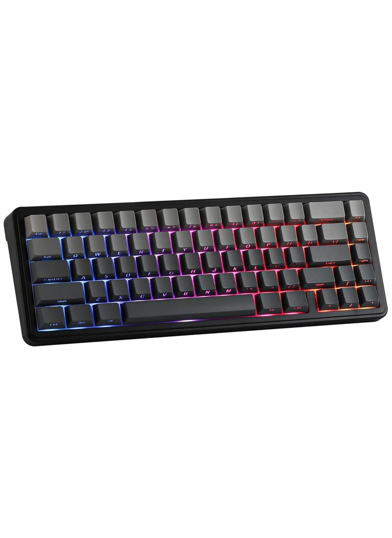 EPOMAKER - EPOMAKER x Aula F65 65% Wireless Mechanical Keyboard, Hot Swappable Gasket Custom Gaming Keyboard with Five-Layer Padding, RGB Backlit, Bluetooth/2.4GHz/USB-C (Black, Graywood V3 Switch) - Image 1
