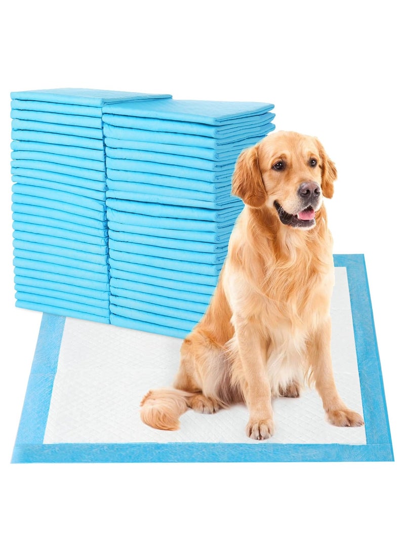 general Sky-Touch Disposable Absorbent Quick Drying Leak-Proof Pee Pads For Potty Training For Pets, 60X60Cm L - 40 Pieces, Blue, L - 60X60Cm - Image 1