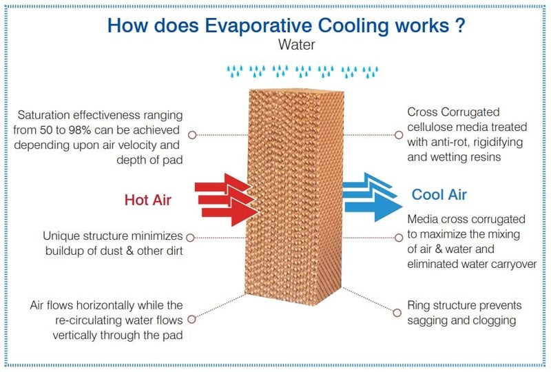 PrimeWave HoneycombPad for Symphony Hi Cool 31L /45T AIR Cooler - Image 2