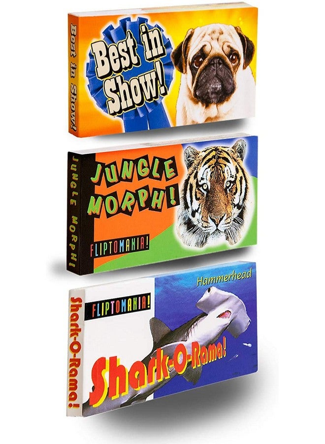 فليبتومانيا مجموعة من 3 كتب مصورة عن الحيوانات البرية والمجنونة - Image 1