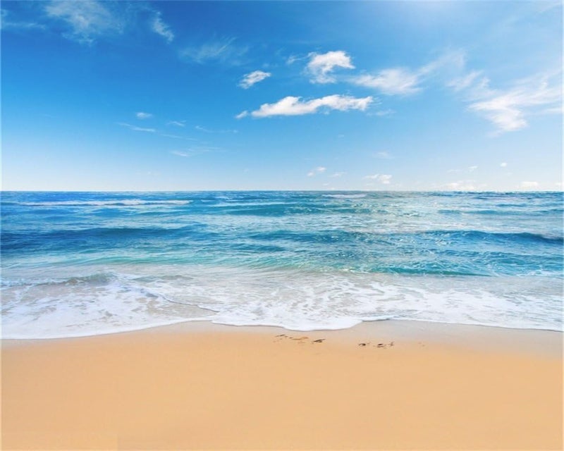 AOFOTO 10x8ft Seaside Beach Photography Background for Kids and Adults - Image 1