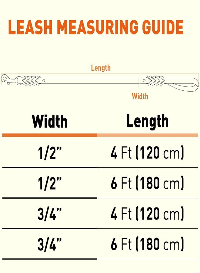 Viper Leather Dog Leash 6ft, Dog Training Leash with Brass Hardware, Leather Leash for Dogs Large Medium Small Breeds (W 1/2" - L 6 FT Black Brass) - Image 4