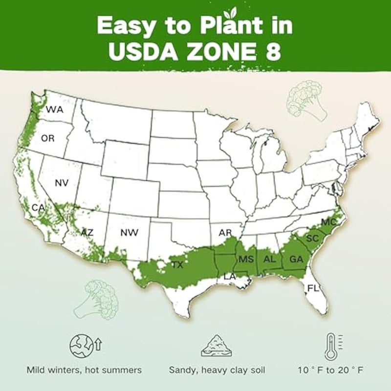 عربست بنك بذور متوارث من وزارة الزراعة الامريكية زون 8، اكثر من 30000 نوع من البذور غير المعدلة وراثيا لزراعة الخضروات، مجموعة بذور النجاة لسرير الحديقة المرتفع والدفيئة الزراعية والبستنة للنساء والرجال - Image 2