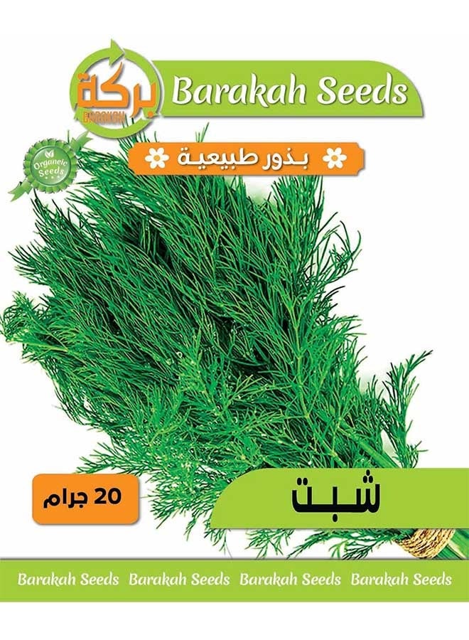 ماركة غير محددة بذور طبيعية عالية الإنبات - (بذور شبت) 