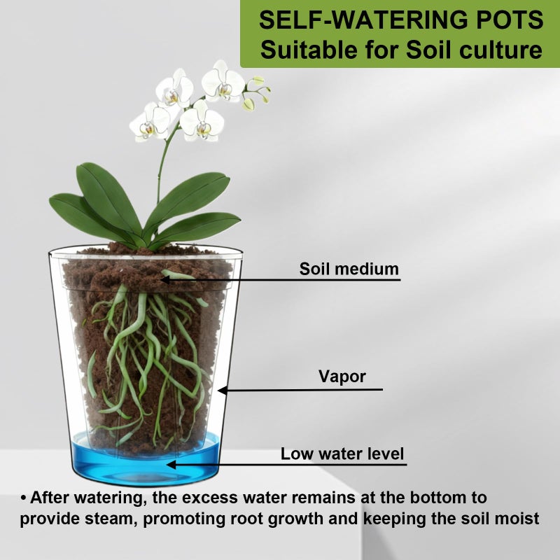TineDew 3 Pack of 6in Plastic Cachepot with 6 inch Clear nusery Pot - self Watering Indoor Planter with Drainage for Root Visibility,semi Hydro pots for repotting Orchids,Aroid or Monstera,Black - Image 4