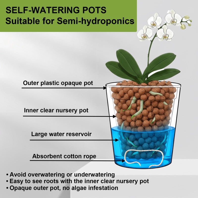 TineDew 3 Pack of 6in Plastic Cachepot with 6 inch Clear nusery Pot - self Watering Indoor Planter with Drainage for Root Visibility,semi Hydro pots for repotting Orchids,Aroid or Monstera,Black - Image 3