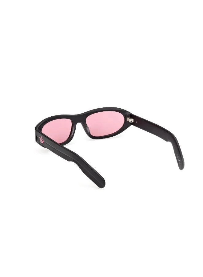 Adidas  wayfarers sunglasses  | Best Price UAE