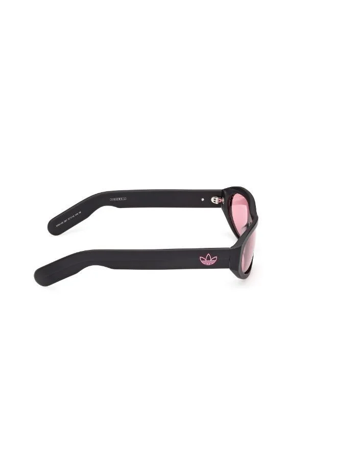 Adidas  wayfarers sunglasses  | Best Price UAE