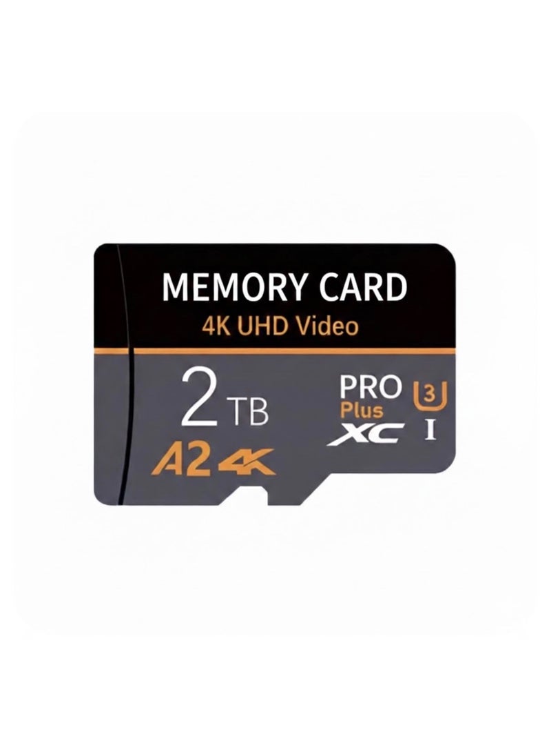 بطاقة ذاكرة برو بلس عالية الأداء لتسجيل فيديو فائق الوضوح بسعة اثنين تيرابايت - Image 1