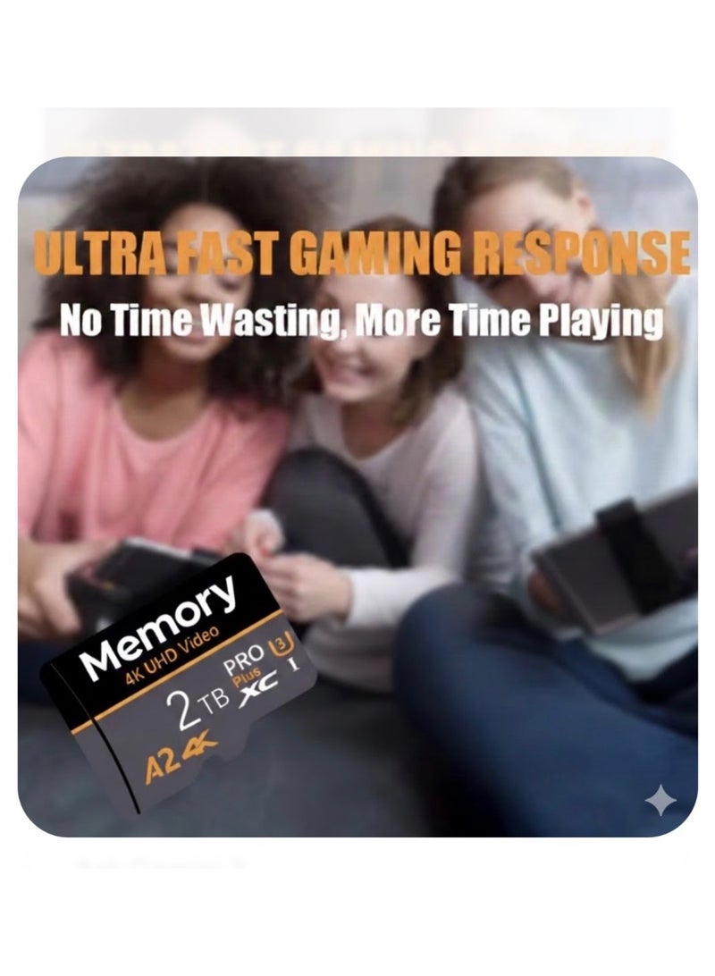 بطاقة ذاكرة برو بلس عالية الأداء لتسجيل فيديو فائق الوضوح بسعة اثنين تيرابايت - Image 3