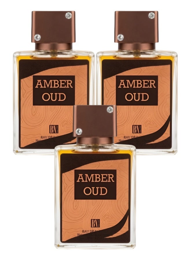 Bn Parfum 3 Pieces Amber Oud Perfume 100ML - Image 1