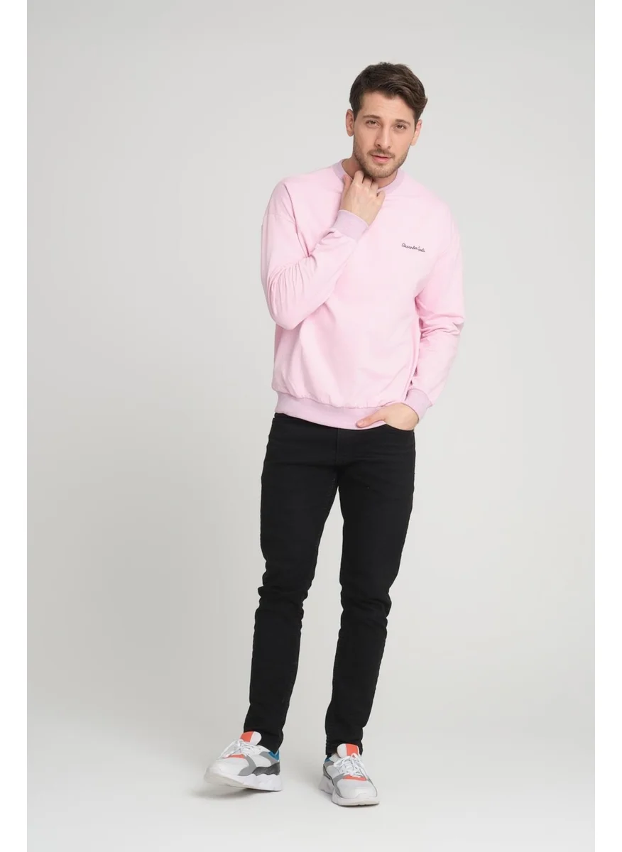 Alexandergardi Crew Neck Sweatshirt (E23-0020)