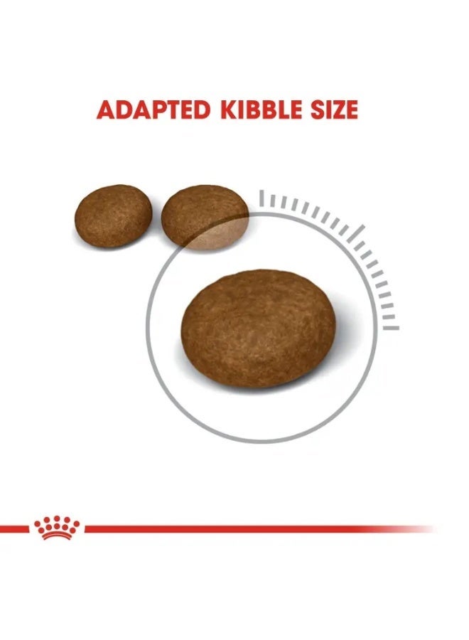 رويال كانين تغذية الشعر والبشرة للقطط 4 كجم - Image 5