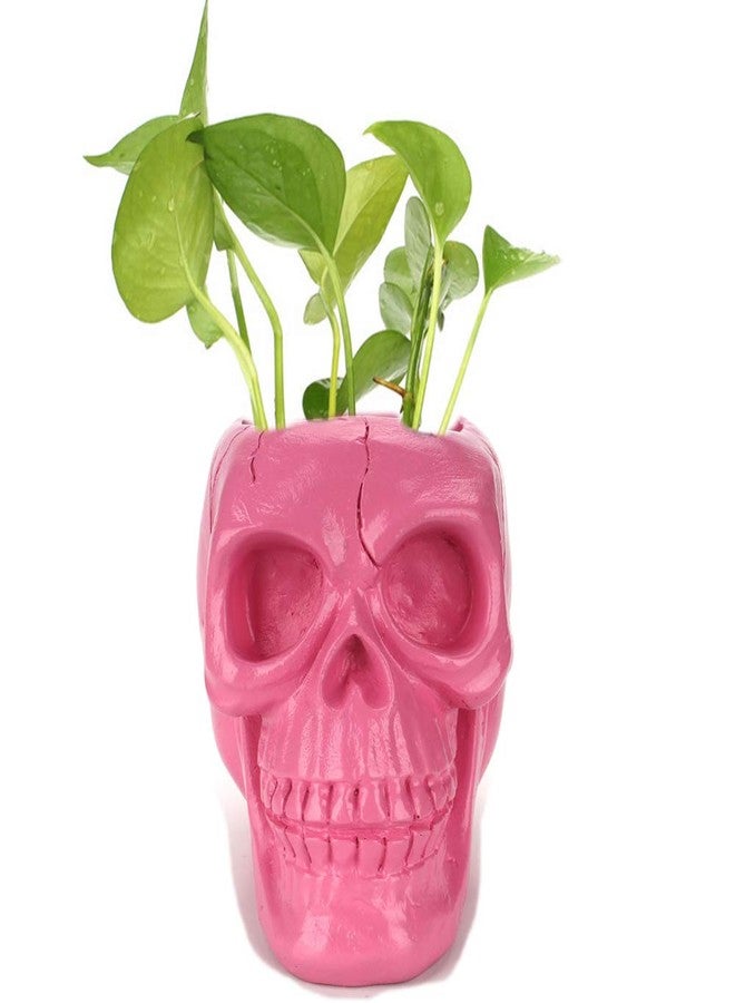 Mikayoo Skull Pen Holder Skull Makeup Brush Holder Pen Holder Dressing Table Office Desk Storage Box Green Plant Flower Pot Halloween Skull (Pink) - Image 2