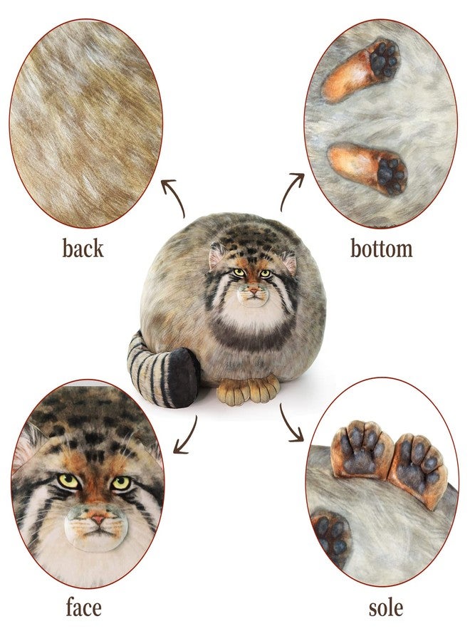 Sew Butiful Steppe Cat Plush, Cat Stuffed Animal 35cm/14inch, Pallas Cat Plush Pillow, Cute Plushies for Girls, Soft Plush Pillow, Throw Pillow Doll Decoration Doll Gift for Kids Boys Party Christmas - Image 3