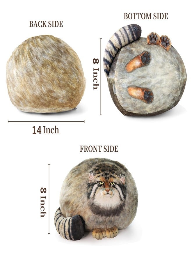 Sew Butiful Steppe Cat Plush, Cat Stuffed Animal 35cm/14inch, Pallas Cat Plush Pillow, Cute Plushies for Girls, Soft Plush Pillow, Throw Pillow Doll Decoration Doll Gift for Kids Boys Party Christmas - Image 2