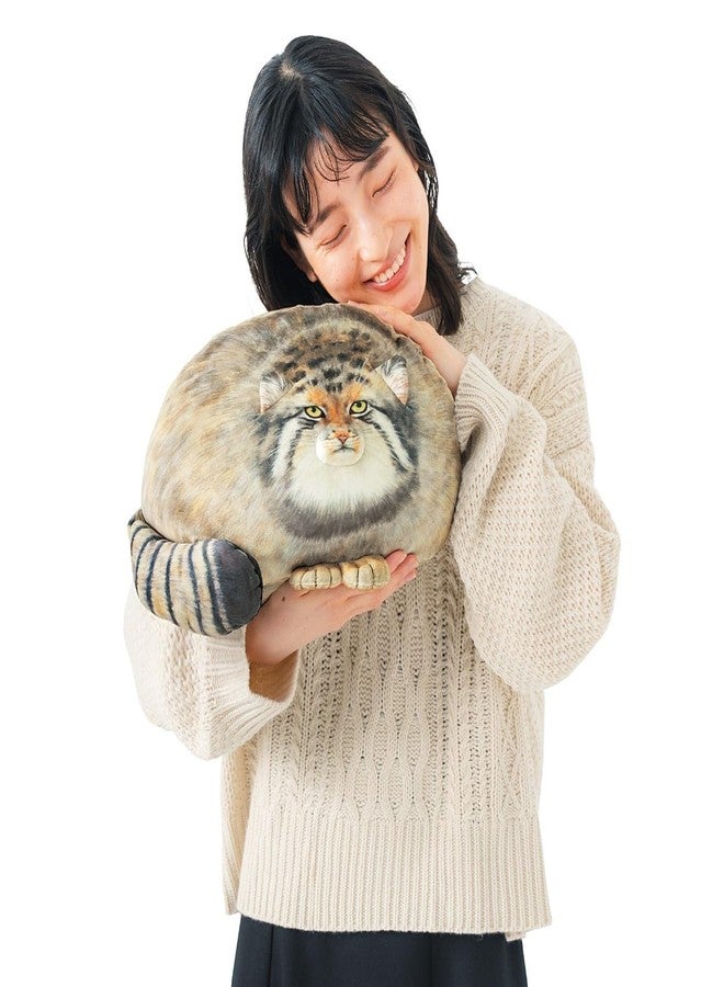 Sew Butiful Steppe Cat Plush, Cat Stuffed Animal 35cm/14inch, Pallas Cat Plush Pillow, Cute Plushies for Girls, Soft Plush Pillow, Throw Pillow Doll Decoration Doll Gift for Kids Boys Party Christmas - Image 4
