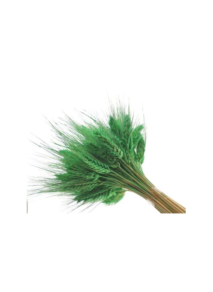 Generic Dried Wheat Flowers Sheaves Grass Artificial Bouquet Bundle  - Image 2