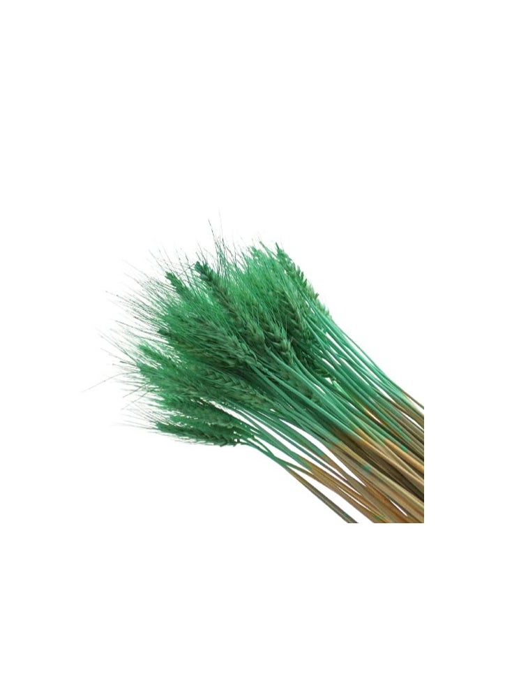 Generic Dried Wheat Flowers Sheaves Grass Artificial Bouquet Bundle  - Image 3