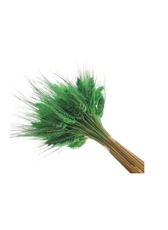 Generic Dried Wheat Flowers Sheaves Grass Artificial Bouquet Bundle  - Image 4
