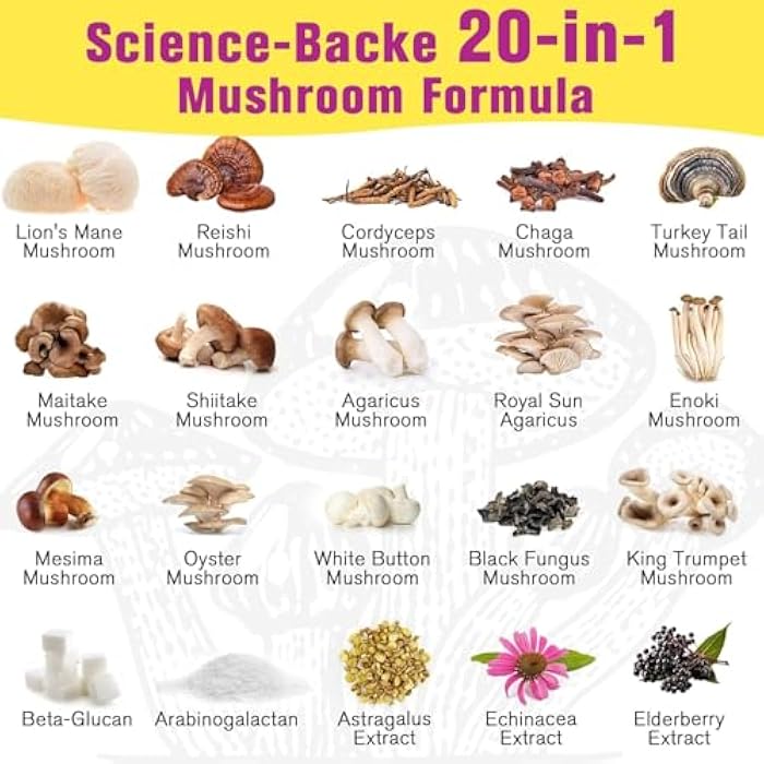 Dmeisy Mushroom Powder | for Mushroom Coffee, 20-in-1 Mushroom Complex with Lions Mane Powder, Reishi, Cordyceps, Turkey Tail & Herbs, Brain Supplements for Memory and Focus, Energy, Immunity - 5.3oz - Image 5