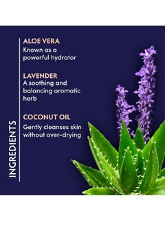 Naturopathica Naturopathica Aloe Vera Cleansing Gel, Facial Cleanser with Aloe Vera and Lavender, Clarifying Face Wash for Men and Women, Travel Size Face Wash, 2 fl oz  - Image 3