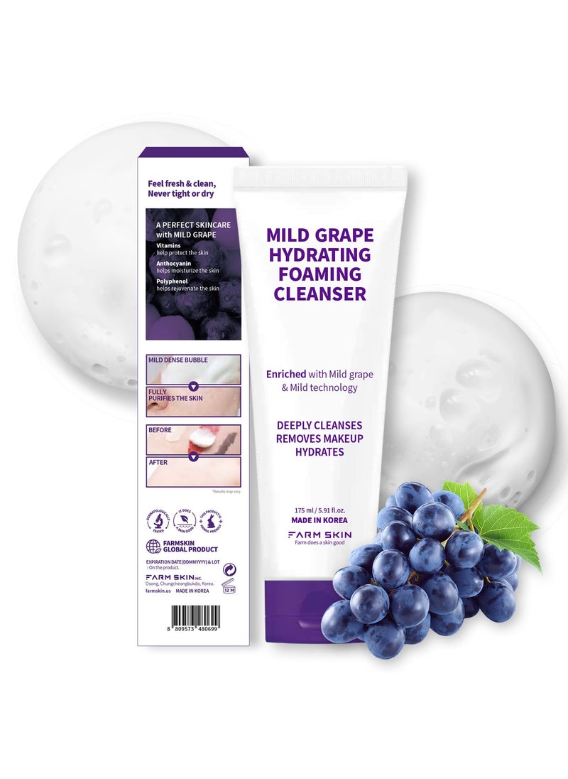 FARMSKIN - FARMSKIN Freshfood For Skin Mild Greape Hydrating Foaming Cleanser 59floz 175ml  Forming Facial CleanserMakeup Remover Foaming CleanserDeep CleansingNonIrritatingKorean Skin Care - Image 1