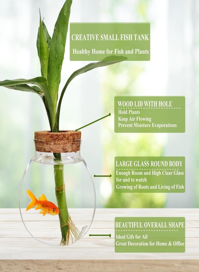 CUSNESTAL Small Betta Fish Tank Glass Fish Bowls for Betta Fish Goldfish, Aquaponic Fish Tank and Plants Cuttings Planter Terrarium Desktop Decorations Gifts - Image 5