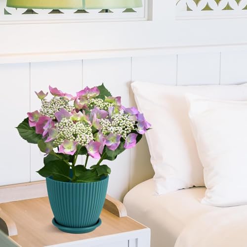 Rabbonix Plastic Round Flower Pots for Home Planters, Terrace, Garden Etc | Pack of 05 | Peacock | Suitable for Home Indoor & Outdoor Gardening Plants - Image 3