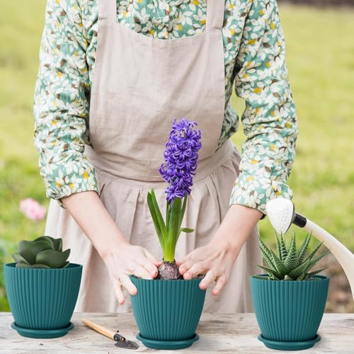 Rabbonix Plastic Round Flower Pots for Home Planters, Terrace, Garden Etc | Pack of 05 | Peacock | Suitable for Home Indoor & Outdoor Gardening Plants - Image 4