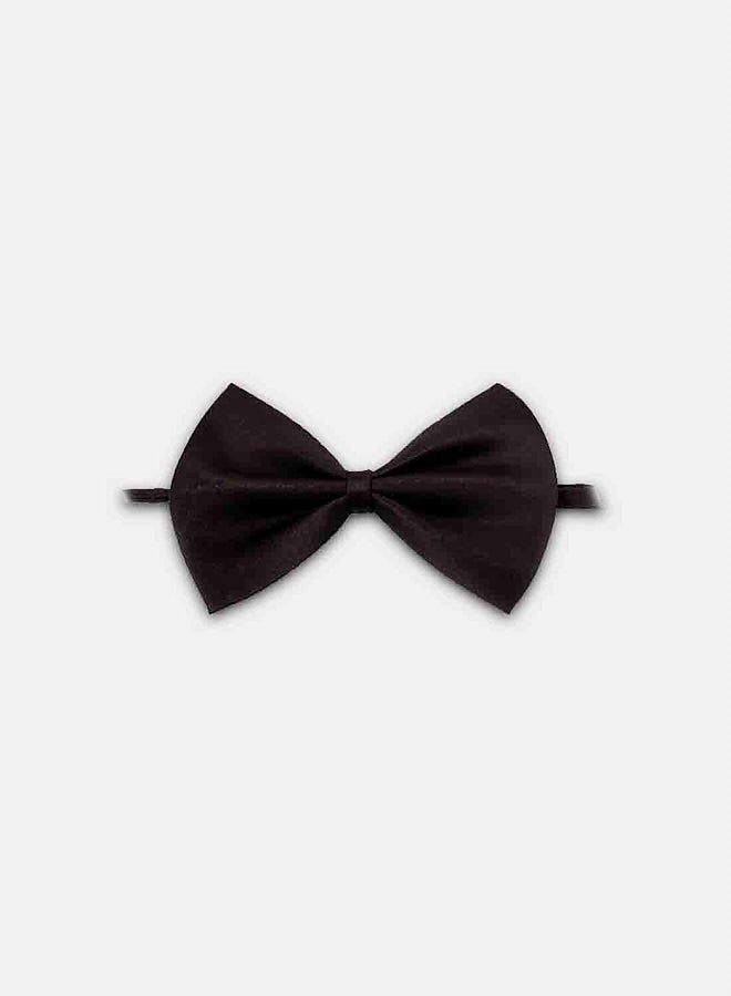 Loquat Adjustable Pet Bow Tie Black